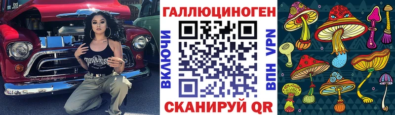 kraken ССЫЛКА  даркнет формула  Псилоцибиновые грибы Psilocybine cubensis  Бакал 